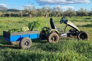 Ber GoKart Hamburg Ber GoKart Hamburg